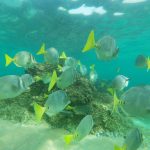 https://nativoecotours.com