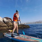 https://nativoecotours.com