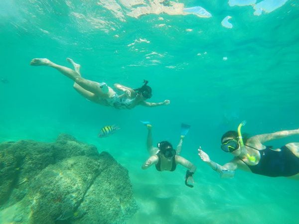 TOUR SNORKEL - Imagen 4