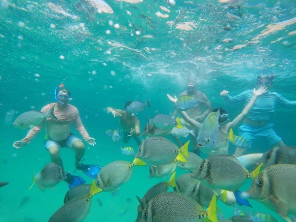 TOUR SNORKEL - Imagen 2