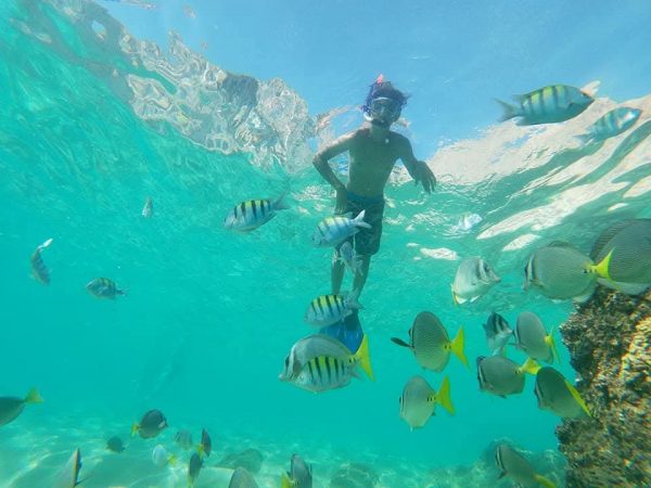 TOUR SNORKEL - Imagen 3