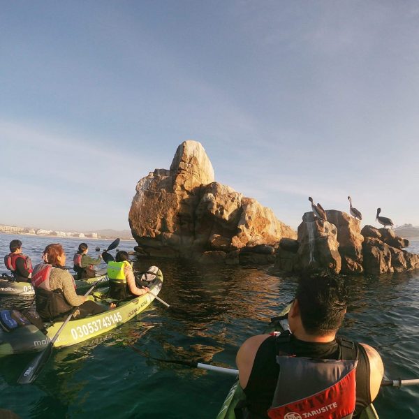 TOUR EN KAYAK - Imagen 2